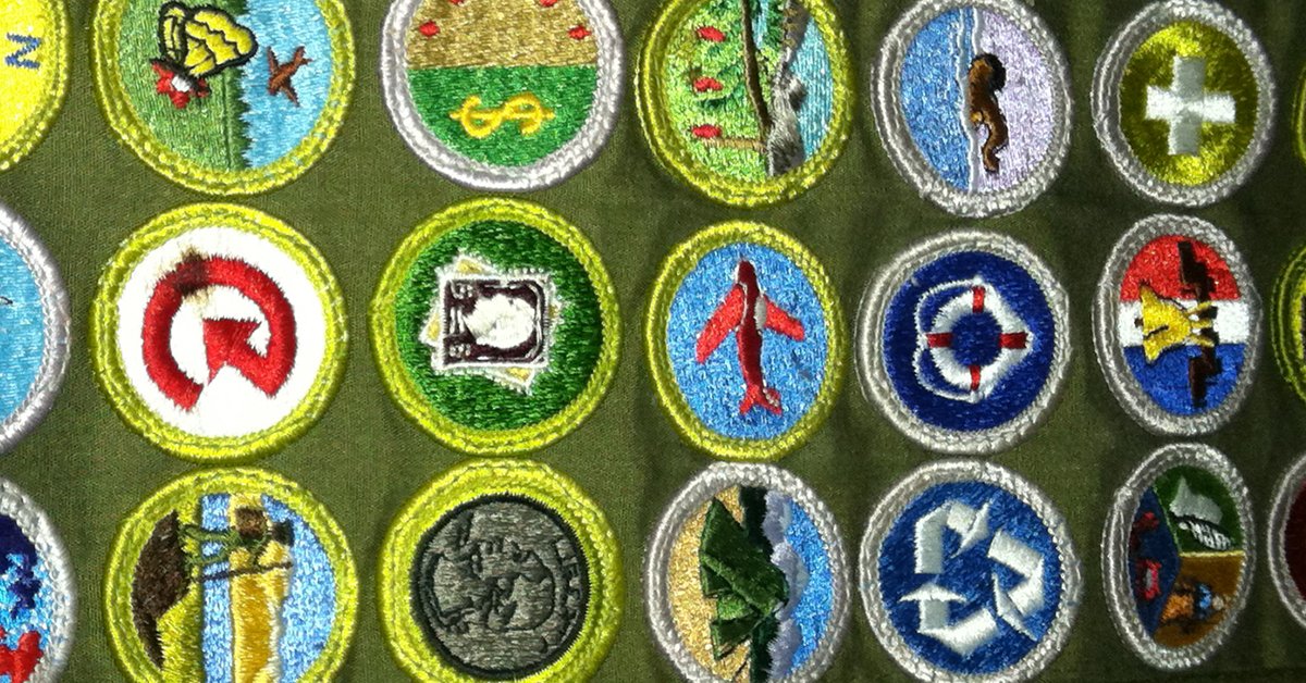 Boy Scout from St. Johns County earns all 138 merit badges possible